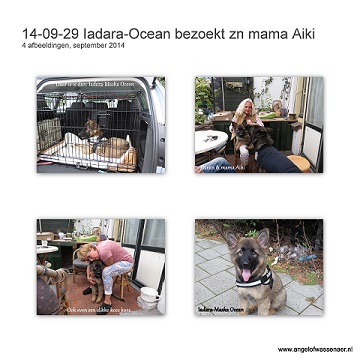 Ocean op bezoek bij zijn mama Aiki in Wassenaar